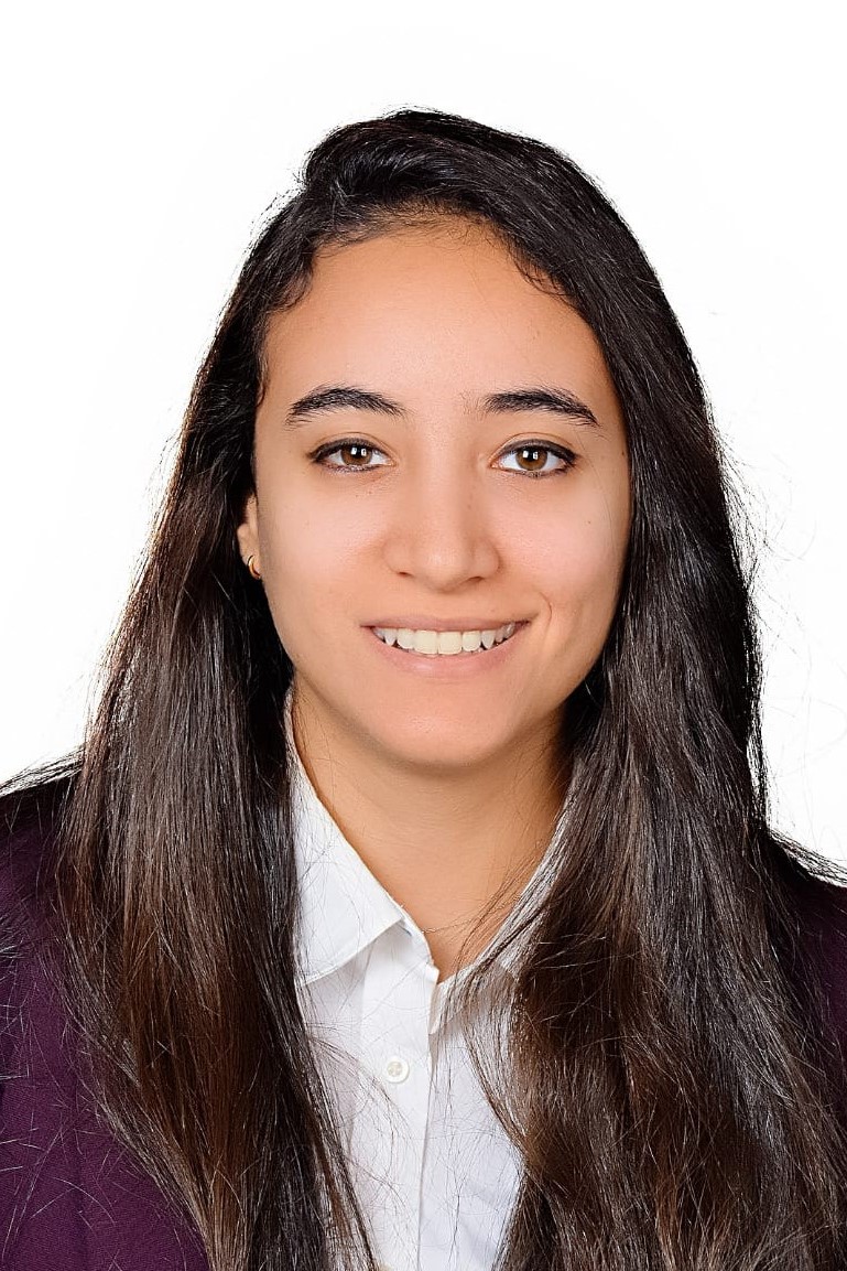 menna elbahiy